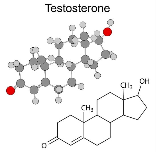testosterone boost