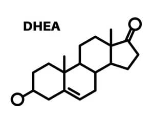 DHEA